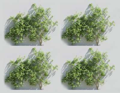 藤蔓植物3D模型下载